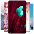 Programikonen: Spring Wallpaper