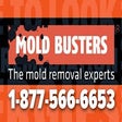 Icon of program: Mold Busters
