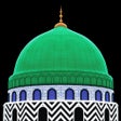 Ícone do programa: DawateislamiDigitalServic…