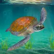 Sea Turtle Survival Sim Games
