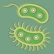程序图标：Bacteria: Types, Infectio…