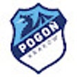 프로그램 아이콘: Pogoń Kraków