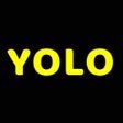 Ikon program: YOLO