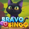 Bravo Bingo -Fun Cat Bingo