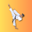 プログラムのアイコン：Shotokan Karate WKF