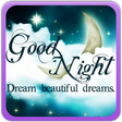 プログラムのアイコン：Good Night Gallery