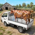 Ikona programu: Animal Transport Cargo Ga…