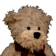 Иконка программы: Bruno the Jabber Bear (XM…