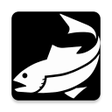 Programikonen: Fisher