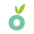 程序图标:Mercato: Grocery Delivery