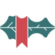 BaghStore icon
