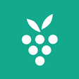 プログラムのアイコン：Berrycast