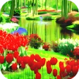 Programikonen: Garden Wallpaper HD