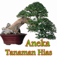程序图标：Aneka Tanaman Hias