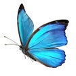 Programın simgesi: BELove Breathing App