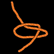 Programikonen: Best Knots - Animated Kno…