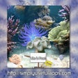 Programikonen: Coral Reef Lite Free Aqua…