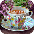 Plantas Medicinales Naturales