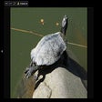 Icon of program: G+ Lightbox - Hide Maximi…