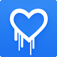 Programikonen: Heartbleed Scanner - CM S…