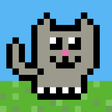 程序图标: Pet Kitty Cat