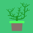程序图标：Plant physiology