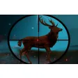 Classical Deer Sniper Hunting 2019