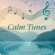 Programikonen: Calm Music - Relaxing Sou…