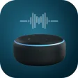 Amazon Alexa  Eco commands