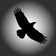 Programikonen: CrowDistance