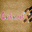 ไอคอนของโปรแกรม: Cochonnet