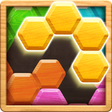 Programikonen: Wood Block Puzzle - Hexa