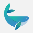 鲸鱼加速器 - VPN网络加速