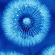 Ikon program: Blue Wallpapers