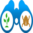 Programikonen: Thuốc BVTV