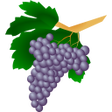 程序图标：Grape varieties