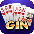 Ikon program: GinRummy 2024