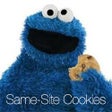 Иконка программы: SameSite Cookies