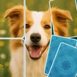 Icoon van programma: Pic Solitaire