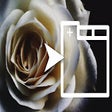 Symbol des Programms: View background image