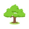 Programikonen: Afforestation