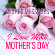 プログラムのアイコン：Mothers Day Wishes and Qu…