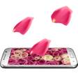 Programikonen: 3D Rose Live Wallpaper Fr…
