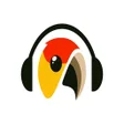 Icon of program: Music Downloader Music Pl…