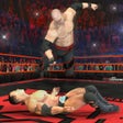 Programikonen: World Wrestling Fighting …