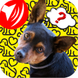 程序图标：Sonidos para Perros