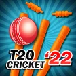 T20 Cricket 2022