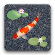 Programikonen: aniPet Koi (free) Live Wa…