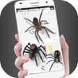 程序图标：Spider in phone funny jok…