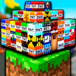Icoon van programma: Craftsman TNT